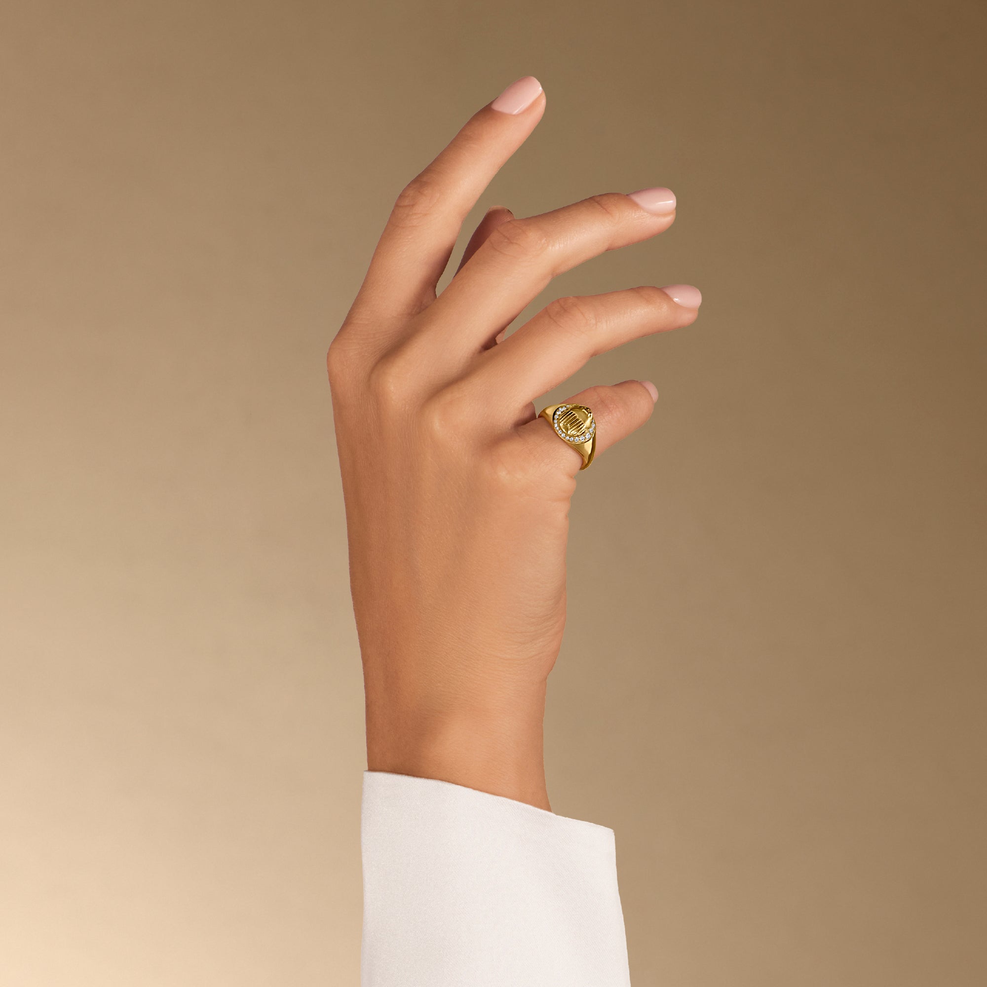 Scarab Chevalier Ring